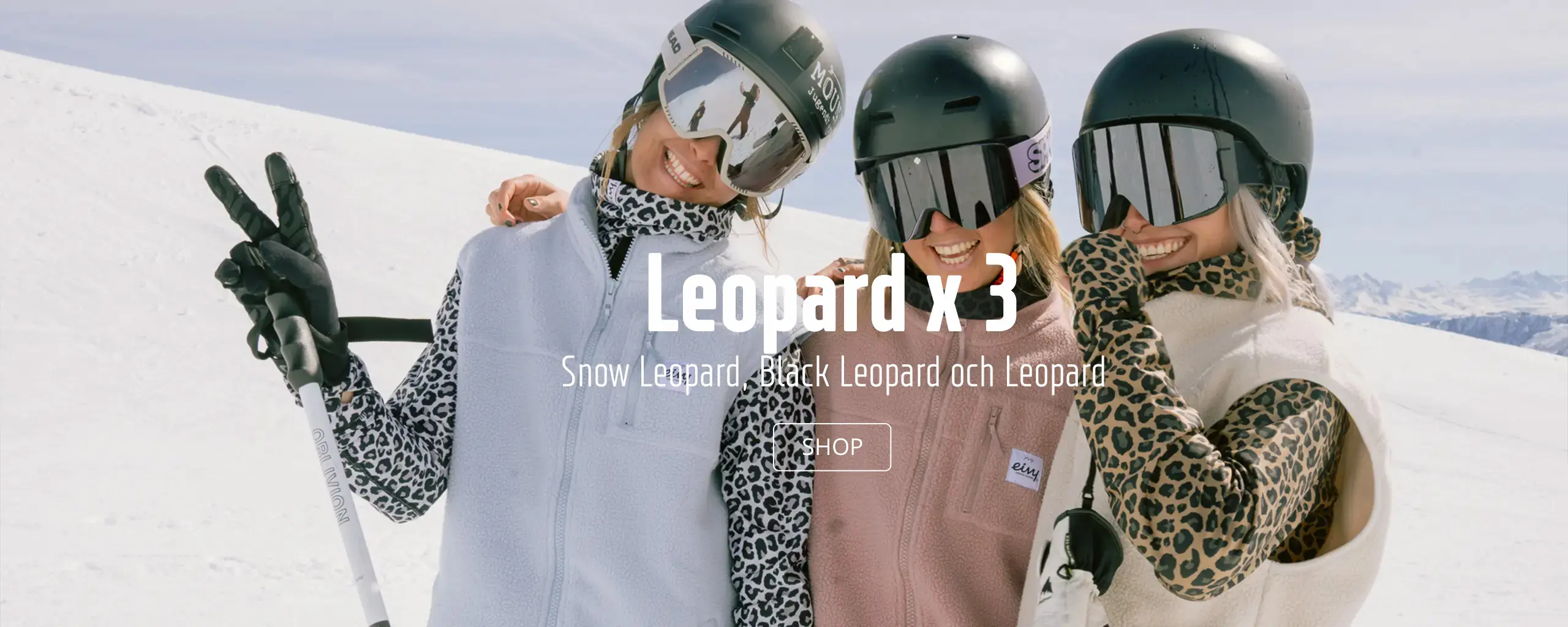 https://www.eivy.co/image/11617/allleopard_SE_desk.webp