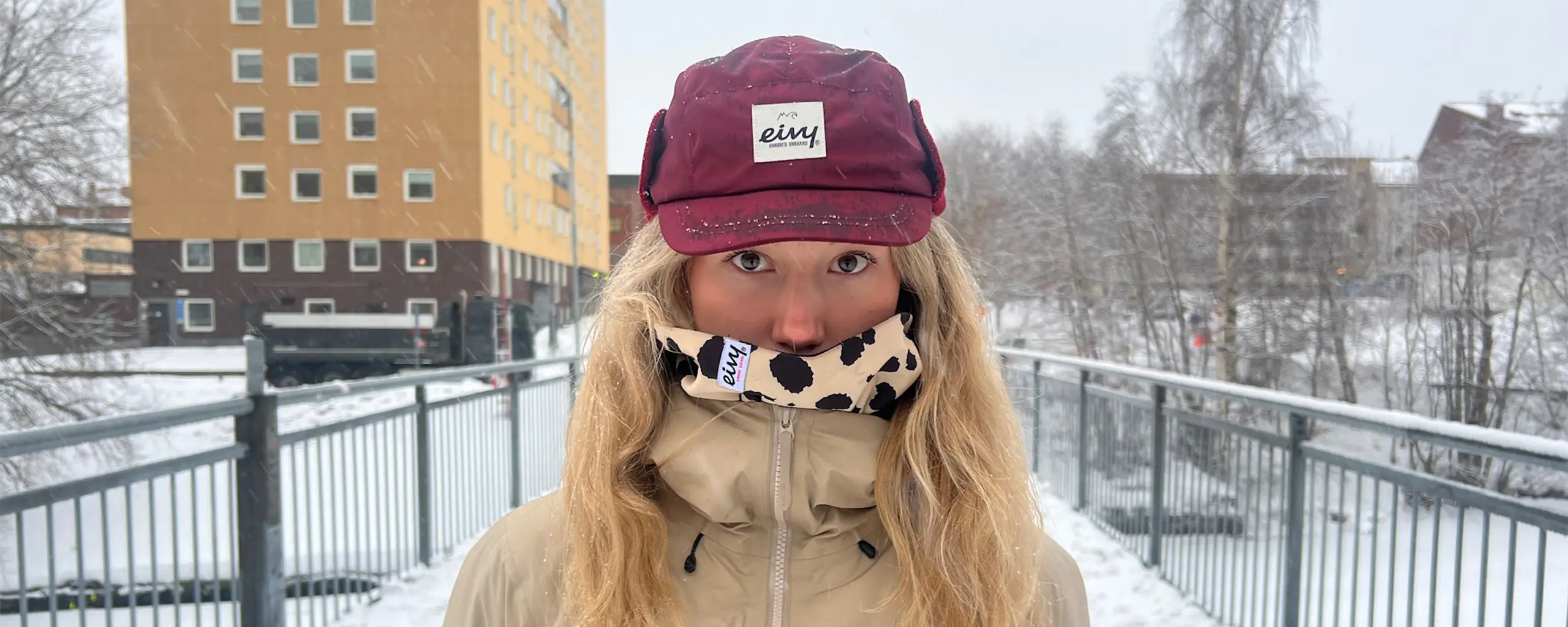 https://www.eivy.co/image/8855/frozenbabiez_1_desk.webp